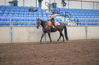 2019 Morgan Horse Show - Sept 01, 2019 - 05725