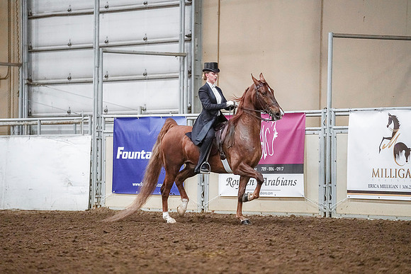 Spring Fling - Saturday - April 20, 2019  -  04235