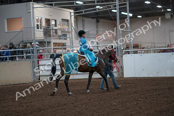 2019 Morgan Horse Show - Aug 31, 2019 - 10040