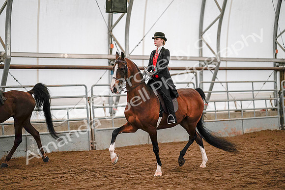 July 19, 2019 - 8794