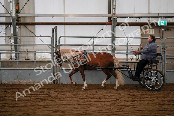 July 19, 2019 - 7085
