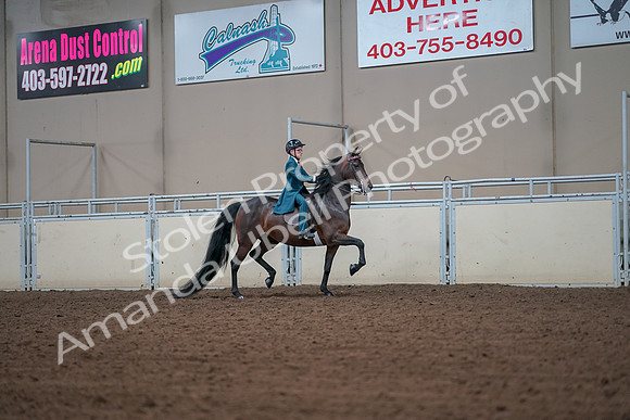 2019 Morgan Horse Show - Aug 30, 2019 - 17995