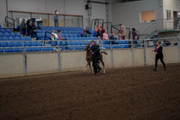 2019 Morgan Horse Show - Aug 30, 2019 - 24648