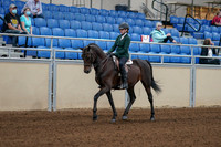 2020 - AB Morgan Horse - Fri, Sept 04 - 03937