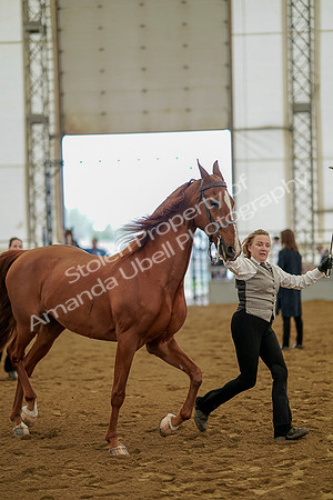July 19, 2019 - 1106
