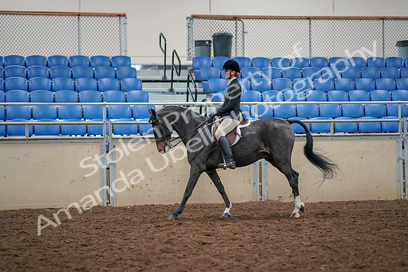 2019 Morgan Horse Show - Aug 30, 2019 - 23427
