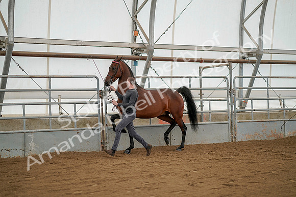 July 19, 2019 - 1240