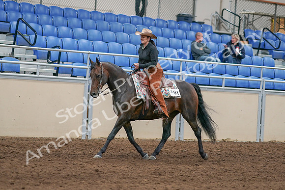 2020 - AB Morgan Horse - Sun, Sept 06 - 01598