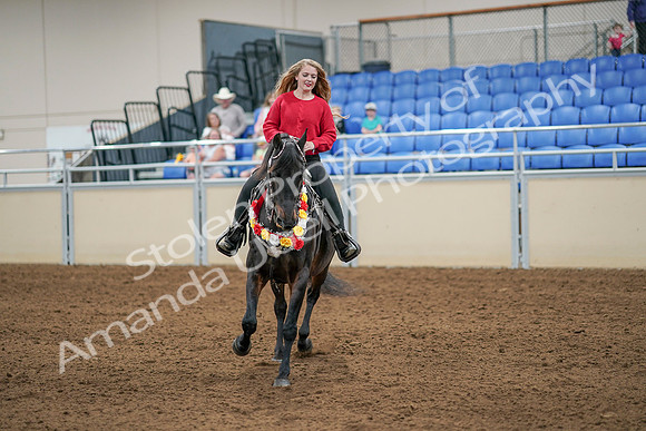 2020 - AB Morgan Horse - Sat, Sept 05 - 10434