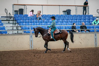2019 Morgan Horse Show - Aug 30, 2019 - 16703