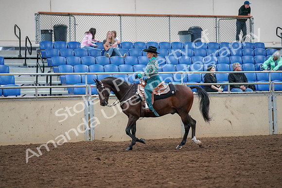 2019 Morgan Horse Show - Aug 30, 2019 - 16703