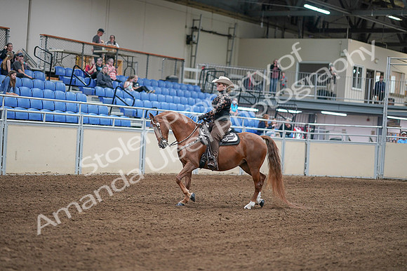 2020 - AB Morgan Horse - Fri, Sept 04 - 08321