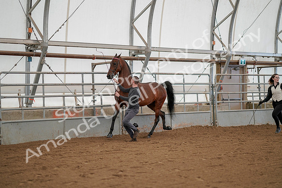 July 19, 2019 - 1230