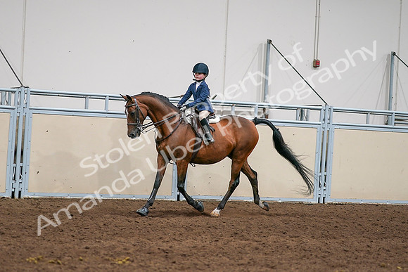 2020 - AB Morgan Horse - Sun, Sept 06 - 08160
