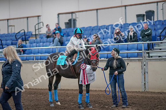 2019 Morgan Horse Show - Aug 31, 2019 - 10222
