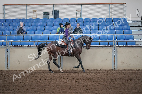 2019 Morgan Horse Show - Aug 31, 2019 - 10700