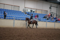 2019 Morgan Horse Show - Aug 30, 2019 - 12659