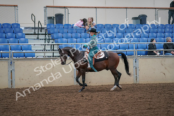 2019 Morgan Horse Show - Aug 30, 2019 - 16712