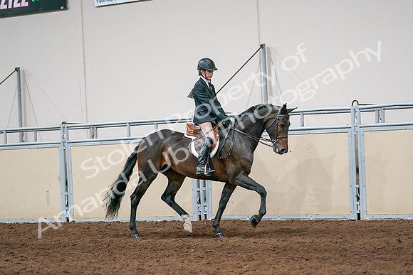 2020 - AB Morgan Horse - Sun, Sept 06 - 08074