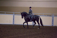 Class 159 - All Breeds Hunter Pleasure, Stake