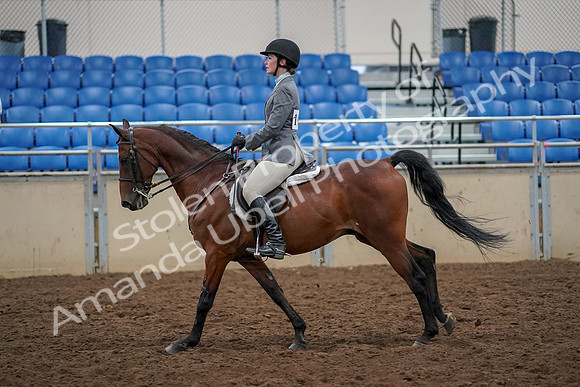 2019 Morgan Horse Show - Aug 30, 2019 - 23467