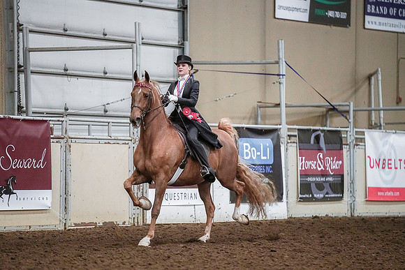 Spring Fling - Saturday - April 20, 2019  -  04454