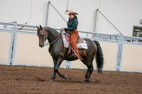 2020 - AB Morgan Horse - Sun, Sept 06 - 01549