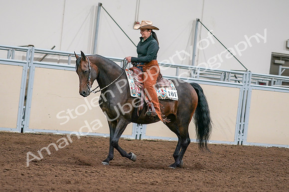 2020 - AB Morgan Horse - Sun, Sept 06 - 01549
