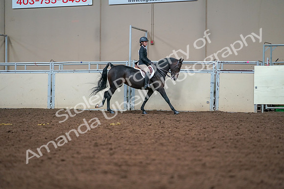 2019 Morgan Horse Show - Aug 30, 2019 - 21085