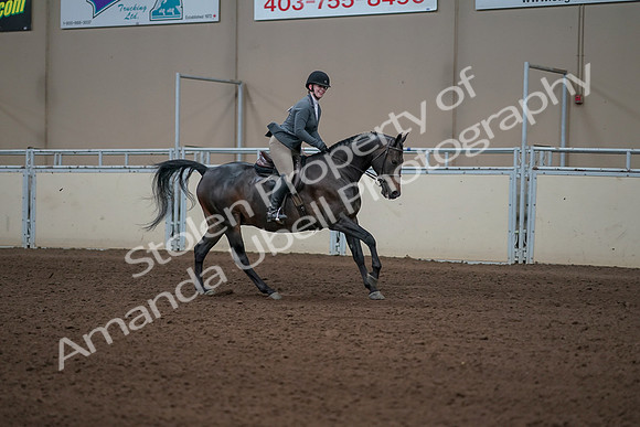 2019 Morgan Horse Show - Sept 01, 2019 - 11112