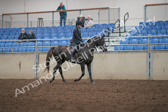 2019 Morgan Horse Show - Aug 31, 2019 - 07374