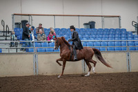 2019 Morgan Horse Show - Aug 30, 2019 - 26489