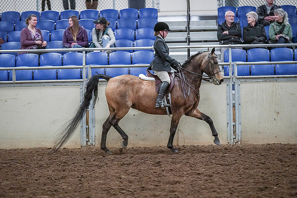 Spring Fling - Saturday - April 20, 2019  -  03851