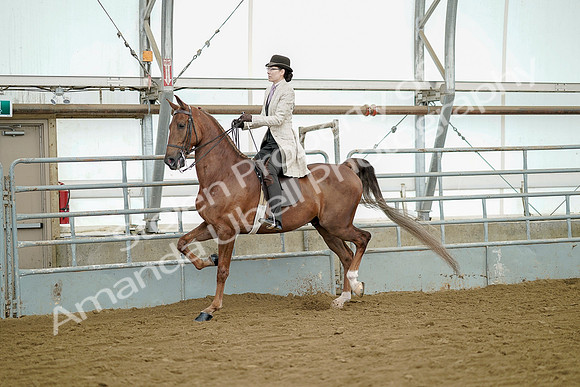 July 20, 2019 - 07851