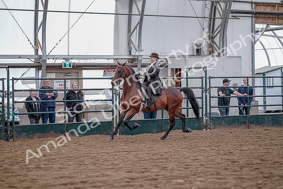 July 20, 2019 - 13851