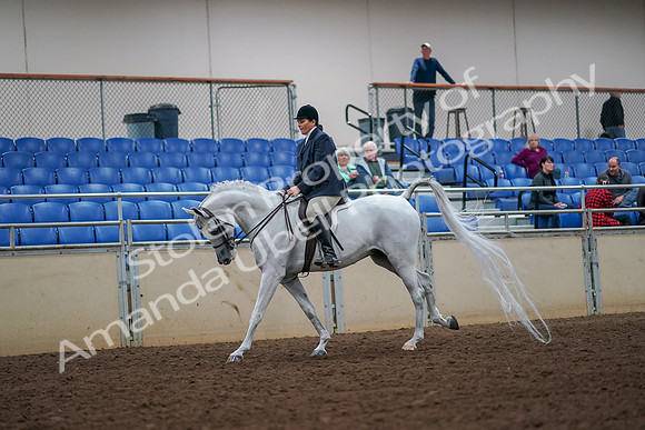 2019 Morgan Horse Show - Aug 30, 2019 - 17398