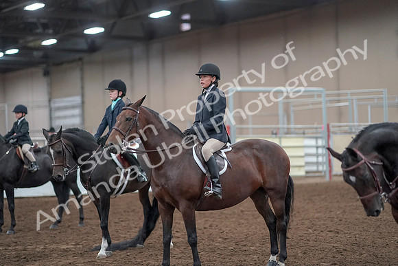 2019 Morgan Horse Show - Aug 31, 2019 - 19705
