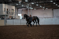 2019 Morgan Horse Show - Aug 31, 2019 - 03383