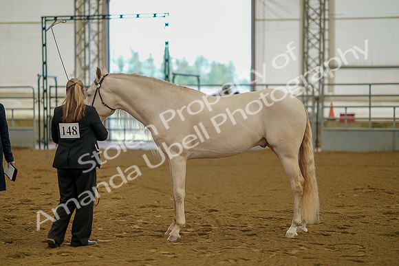 July 19, 2019 - 349
