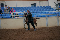 2019 Morgan Horse Show - Aug 30, 2019 - 24652