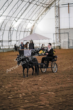 July 19, 2019 - 6881