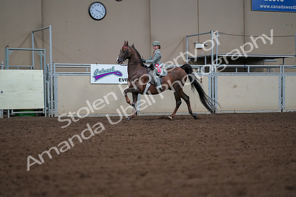 2019 Morgan Horse Show - Aug 30, 2019 - 18218