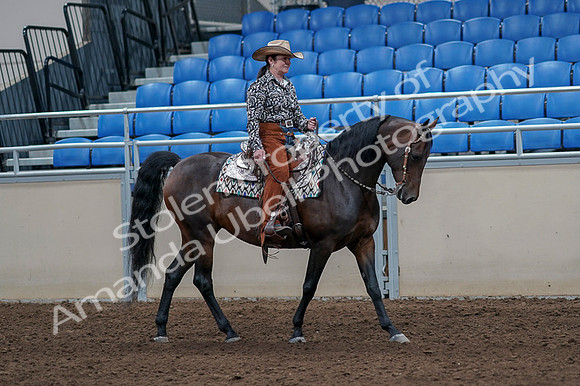 2020 - AB Morgan Horse - Fri, Sept 04 - 00100