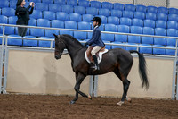 2020 - AB Morgan Horse - Sun, Sept 06 - 07675
