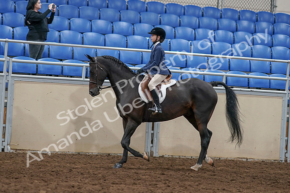 2020 - AB Morgan Horse - Sun, Sept 06 - 07675