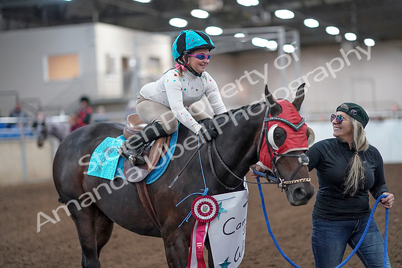 2019 Morgan Horse Show - Aug 31, 2019 - 09982