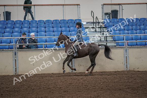 2019 Morgan Horse Show - Aug 31, 2019 - 05050