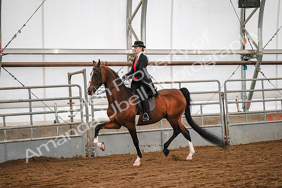 July 19, 2019 - 9042
