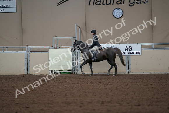 2019 Morgan Horse Show - Aug 30, 2019 - 14954