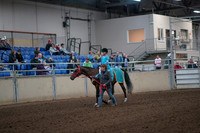 2019 Morgan Horse Show - Aug 31, 2019 - 09924